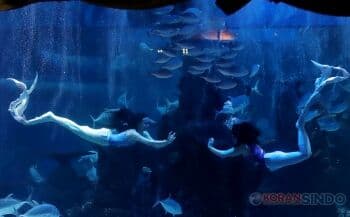 Cara Menuju ke Jakarta Aquarium Naik Transportasi Umum, Tak Perlu Ribet!