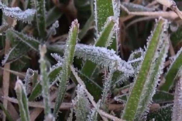 Dieng Membeku Diselimuti Salju, Suhu Ekstrem Minus 1 Derajat Celcius