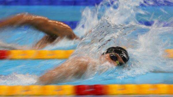 Posisi Tubuh Saat Melakukan Start Renang Gaya Bebas