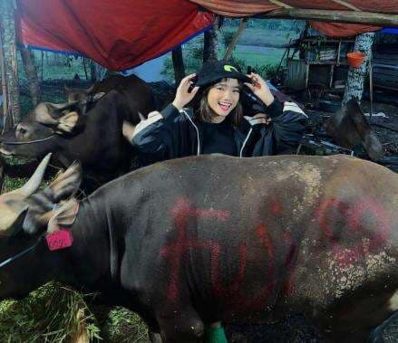 Fuji Beli Dua Hewan Kurban Sapi Seharga Rp30 Juta