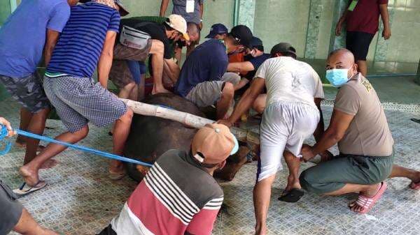 Doa Menyembelih Hewan Kurban untuk 7 Orang, Arab, Latin, dan Artinya