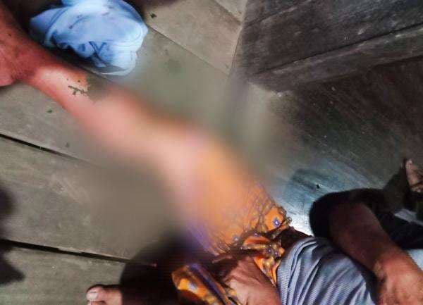 Buaya Liar Beraksi Lagi di Kotabaru, Sambar Kaki Wanita Bangkalaan Dayak