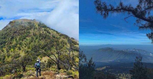 Merinding, Pendaki Gunung Arjuno Cerita saat Tersesat ke Alam Gaib dan Lihat Pohon Aneh