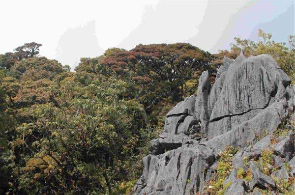 Gunung Mekongga, Karst Indah nan Menantang di Sulawesi Tenggara