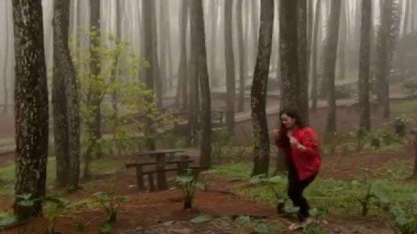 5 Tempat Wisata Hutan Pinus di Yogyakarta, Dijamin Instagrammable