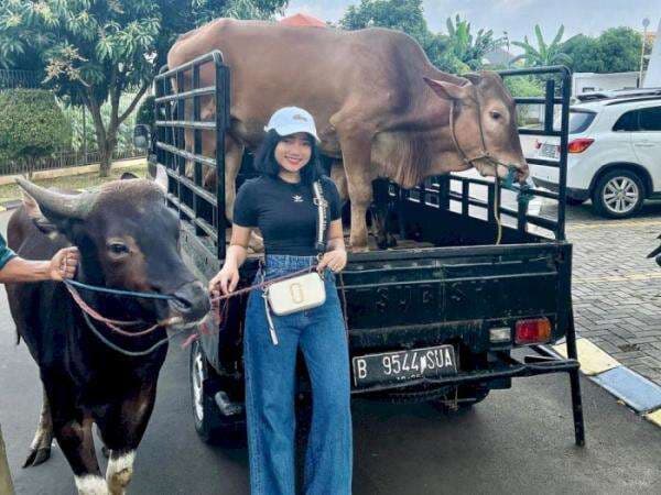 Gaya Fuji Foto Bareng Sapi Kurban Buat Vanessa-Bibi dan Gala, Masyaallah Berkah Ya Cantik