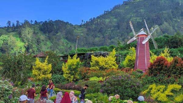 Merapi Garden Boyolali: Daya Tarik, Lokasi, dan Tiket Masuk