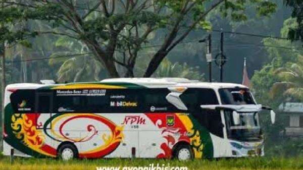 Sejarah PO NPM, Bus Tertua yang Masih Beroperasi sampai Sekarang di Indonesia