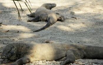 3 Wisata Alam Asia Tenggara, Pas Buat Liburan Musim Panas Bareng Keluarga