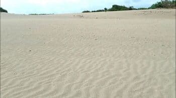 Dijuluki Sahara Van Garut, Intip Pesona Gurun Pasir Tungtung Karang Memanjakan Mata