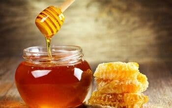 3 Mitos Salah soal Madu, Salah Satunya soal Dikerbungi Semut