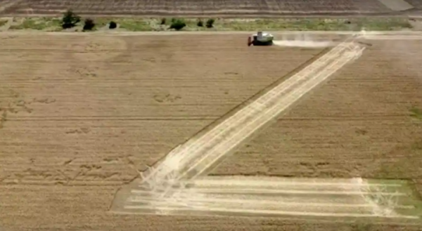 Perang Rusia-Ukraina: Alasan Petani Krimea Menandai Ladang Mereka dengan Huruf `Z` dan `V`