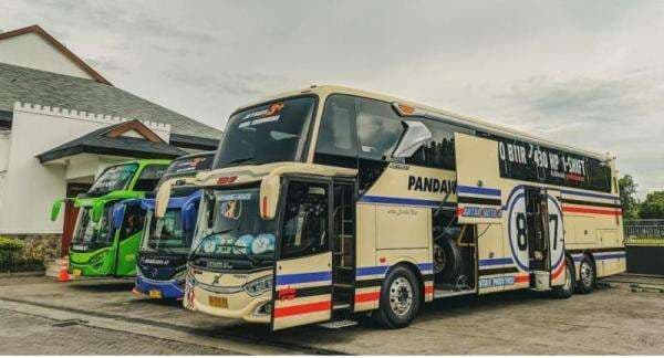 Perbedaan Bus Ekonomi, Patas, Eksekutif dan Sleeper, Ini yang Ada Layanan Pramugarinya Perbedaan Bus Ekonomi, Patas, Eksekutif dan Sleeper, Ini yang Ada Layanan Pramugarinya