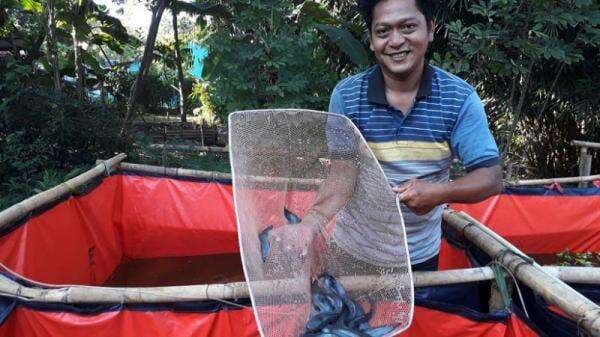 Apakah Lele Mengandung Kolesterol? Cek Faktanya!