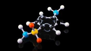 6 Persamaan Struktur Jaringan Tumbuhan dan Struktur Jaringan Hewan