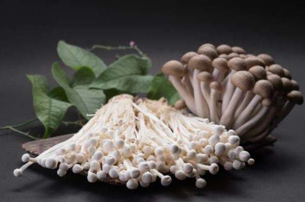 3 Jamur Penurun Kolesterol, Alami dan Terbukti