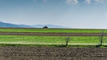Mengapa Penggunaan Pupuk Kimia dalam Pertanian Dapat Memicu Terjadinya Pemanasan Global?