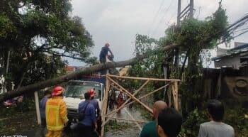 Hujan Badai di Bogor, Pohon Tumbang Timpa Truk Hujan Badai di Bogor, Pohon Tumbang Timpa Truk