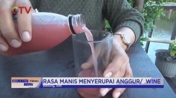 Seruput Sirup Buah Mangrove, Rasa Manis Serupa Wine