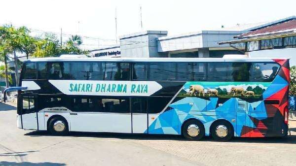 Tampilan Bus Panoramic Roof milik PO Safari Dharma Raya, Tampil Premium seperti Bus Eropa Tampilan Bus Panoramic Roof milik PO Safari Dharma Raya, Tampil Premium seperti Bus Eropa