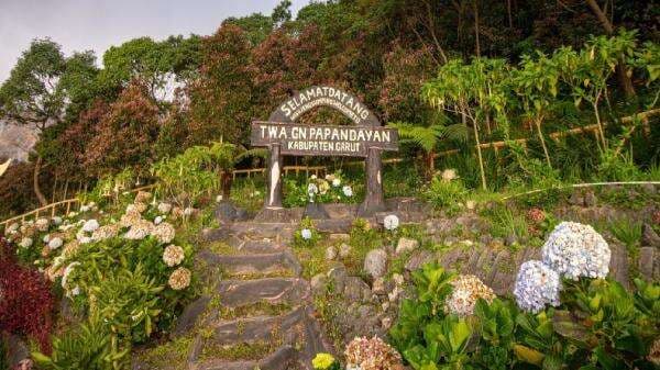6 Fakta Gunung Papandayan Garut, Destinasi Favorit Pendaki Pemula