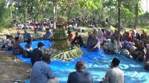 Rebutan Gunungan Warnai Tradisi Sedekah Bumi