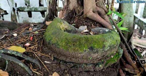 Wow! Desa Ini Terdapat Ular yang Berubah Jadi Batu, Tempatnya Disakralkan