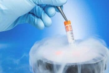 Kisaran Harga Melakukan Egg Freezing, Bisa Ratusan Juta