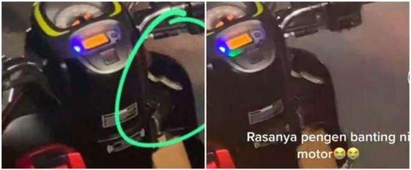 Bikin kaget, wanita ini temukan ular di motor setelah perjalanan jauh