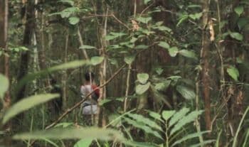 Mitos Orang Bunian Sering Goda Manusia hingga Aroma Masakan Muncul