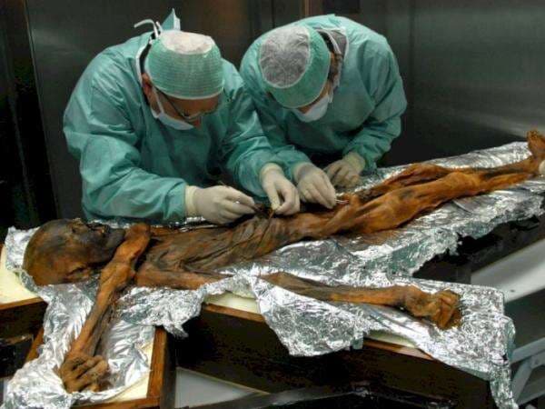 Ötzi The Iceman, Mumi Beku dari Pegunungan Alpen Italia