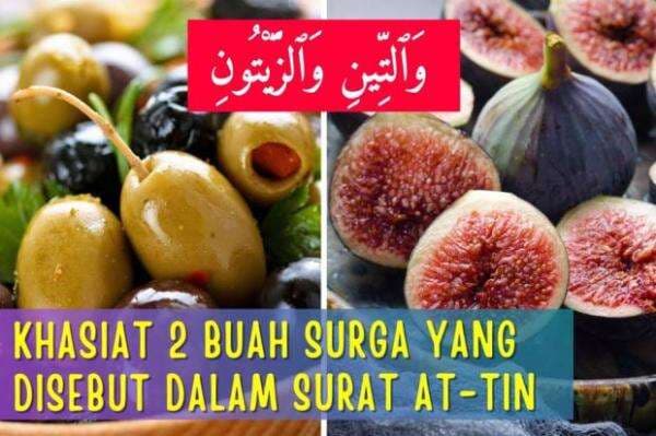 Wattini Wazzaitun! Dua Buah yang Diberkahi, Ini Keistimewaannya