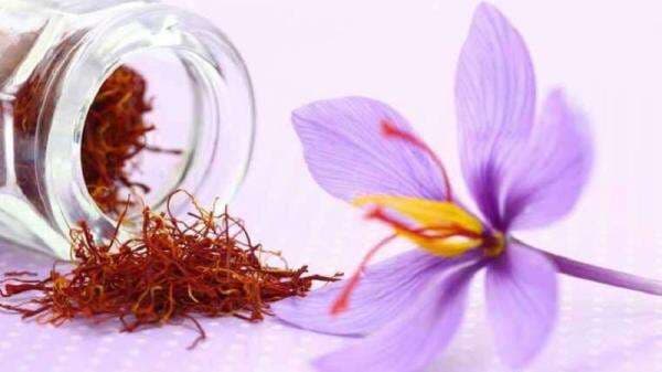 Cara Minum Saffron yang Benar, Rempah Paling Mahal di Dunia Cara Minum Saffron yang Benar, Rempah Paling Mahal di Dunia