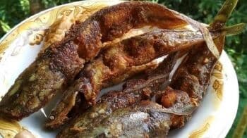 Jangan Dikonsumsi Berlebihan, 2 Ikan Ini Mengandung Kolesterol Tinggi