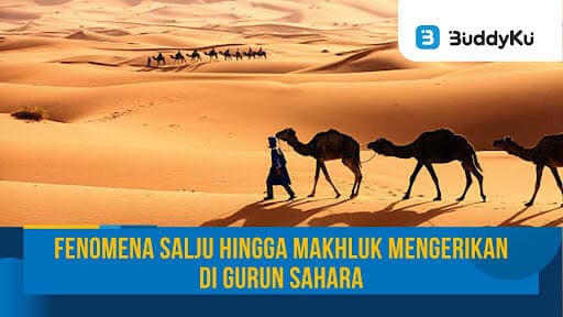 Fenomena Salju Hingga Makhluk Mengerikan di Gurun Sahara