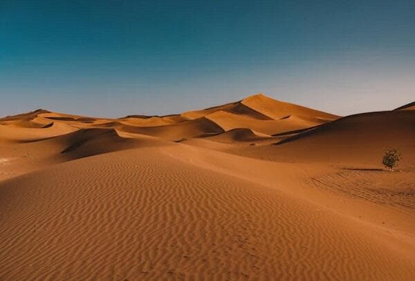 Gurun Sahara Ada Apa Ramai di TikTok? Ini Fakta dan Sejarahnya