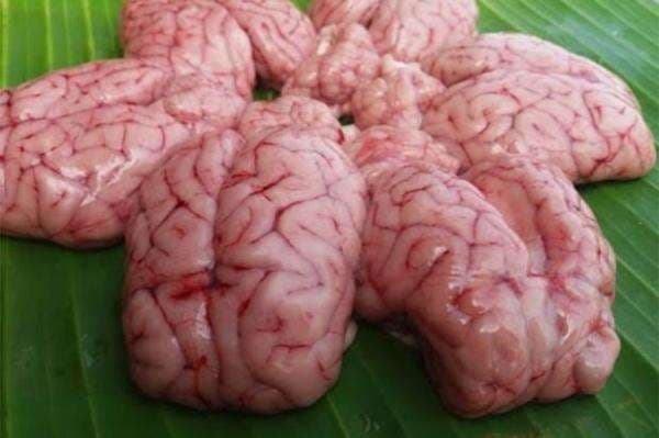 4 Bagian Tubuh Kambing yang Mengandung Kolesterol, Wajib Dihindari!