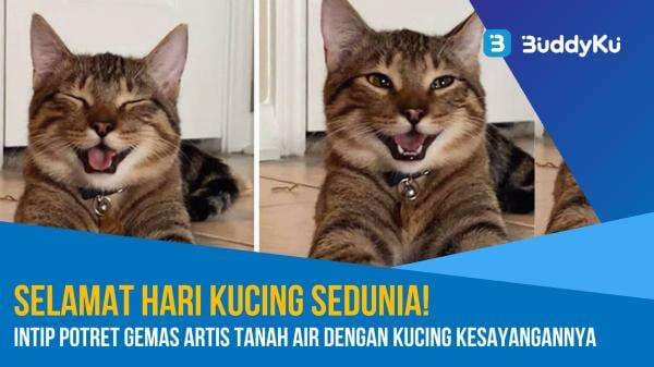 Selamat Hari Kucing Sedunia! Intip Potret Gemas Artis Tanah Air dengan Kucing Kesayangannya
