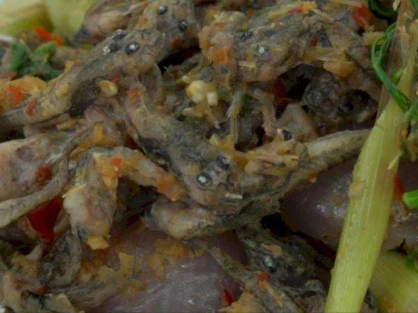 5 Makanan Ekstrem Thailand Bisa Bikin Muntah, Berani Coba?