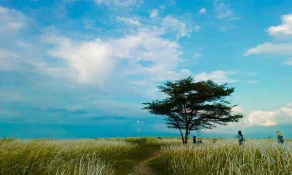 Rekomendasi Hidden Gem di Semarang