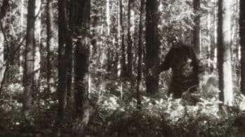 Misteri Bigfoot, Apakah Makhluk Legendaris Itu Benar-Benar Ada?