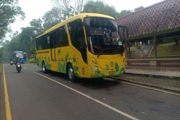 Bus Kuning UI Beroperasi Lagi, Catat Jadwal dan Rutenya