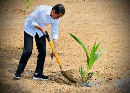 Ungkap Bahaya Krisis Pangan, Jokowi: 800 Juta Orang Akan Kelaparan