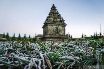 Yuk Coba Pengalaman Itinerary di Dieng Pagi dan Sore Tanpa Menginap