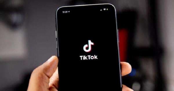 Savefrom TikTok, Download Video TikTok Kualitas HD Tanpa Watermark