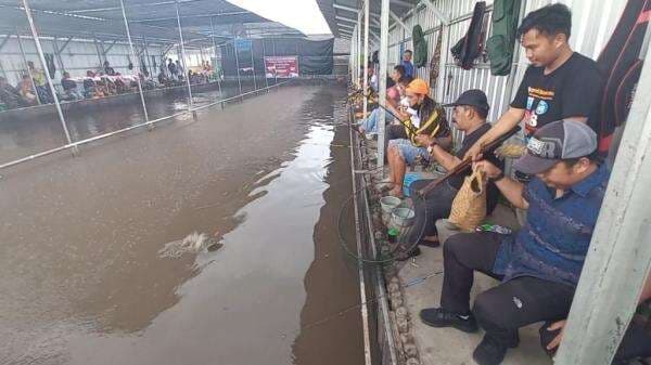 Lomba Mancing di Kolam Lele Sungai Miai Dalam Banjarmasin, Peserta Rela Hujan-hujanan