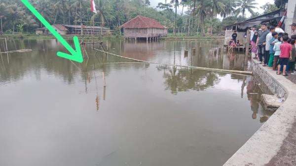 Bocah 5 Tahun Tewas Tenggelam saat Berenang di Kolam Ikan Pamannya di Kota Tasikmalaya