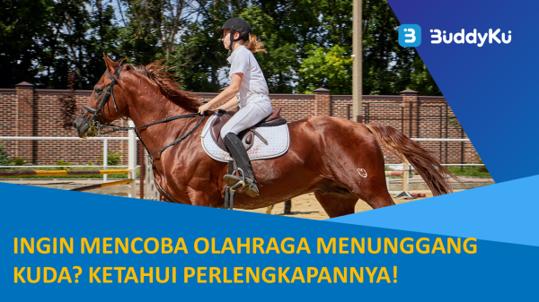 Ingin Mencoba Olahraga Menunggang Kuda? Ketahui Perlengkapannya!