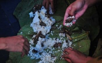 Ini Dia Nasi Jangkrik, Kuliner Favorit Sunan Kudus yang Melegenda