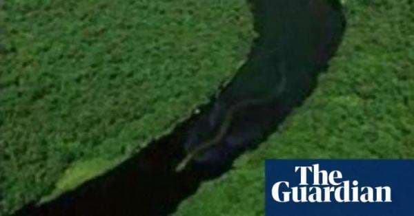 7 Ular Raksasa yang Pernah Dilihat Manusia dan Dianggap Siluman, Nomor 3 Gegerkan Kalimantan